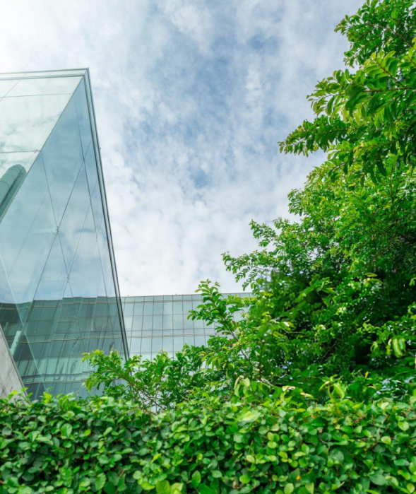 Girl working on computer info-3